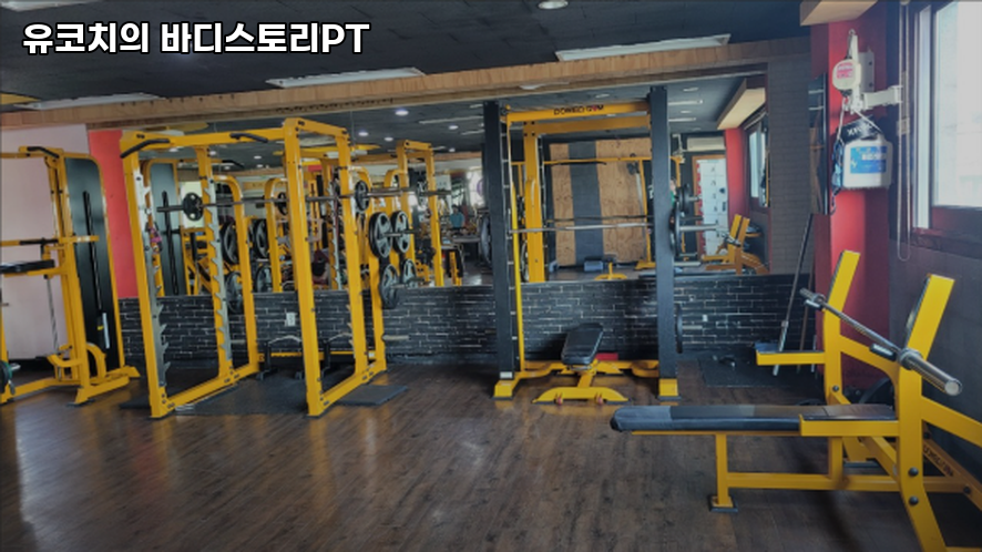 유코치의바디스토리PT 이미지