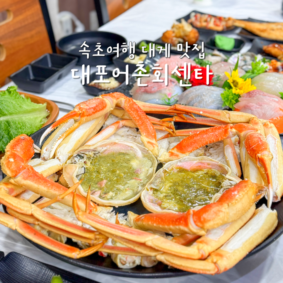 대포어촌회센타 이미지
