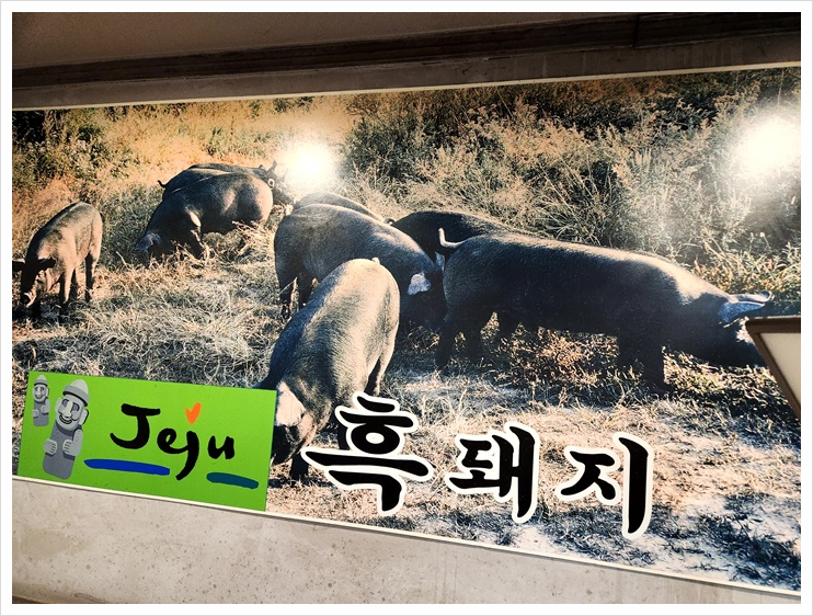 한돈집 이미지