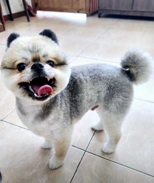 예쁜미용 이미지