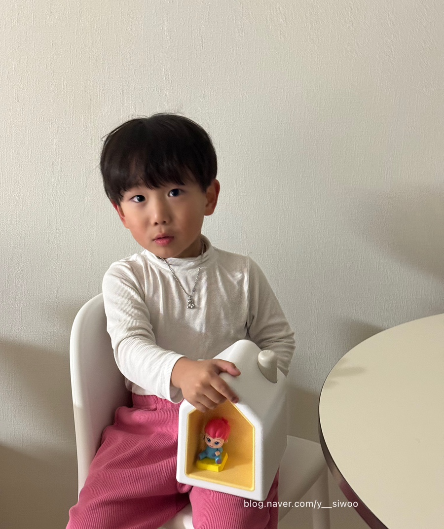 아띠슈 이미지