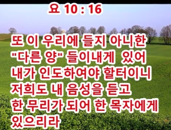 양*종 이미지