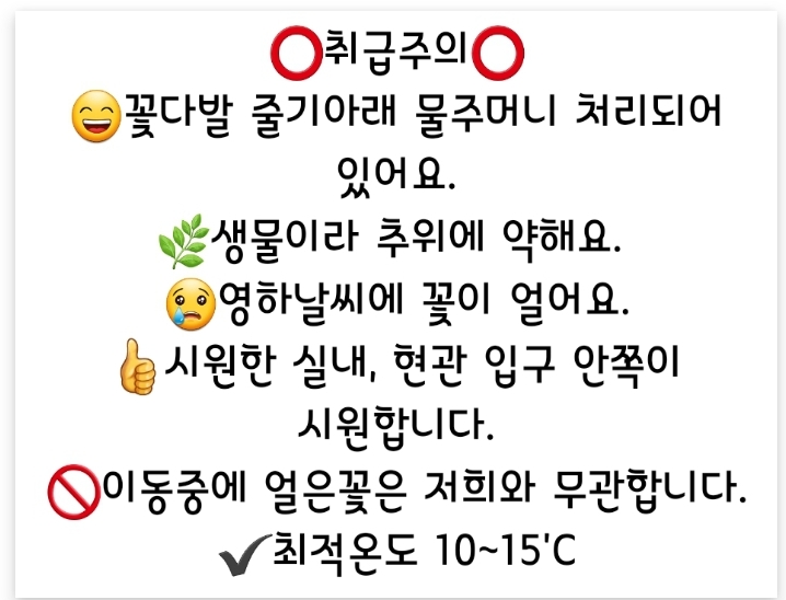 부천꽃집데이브앤스텔라플라워즈 이미지