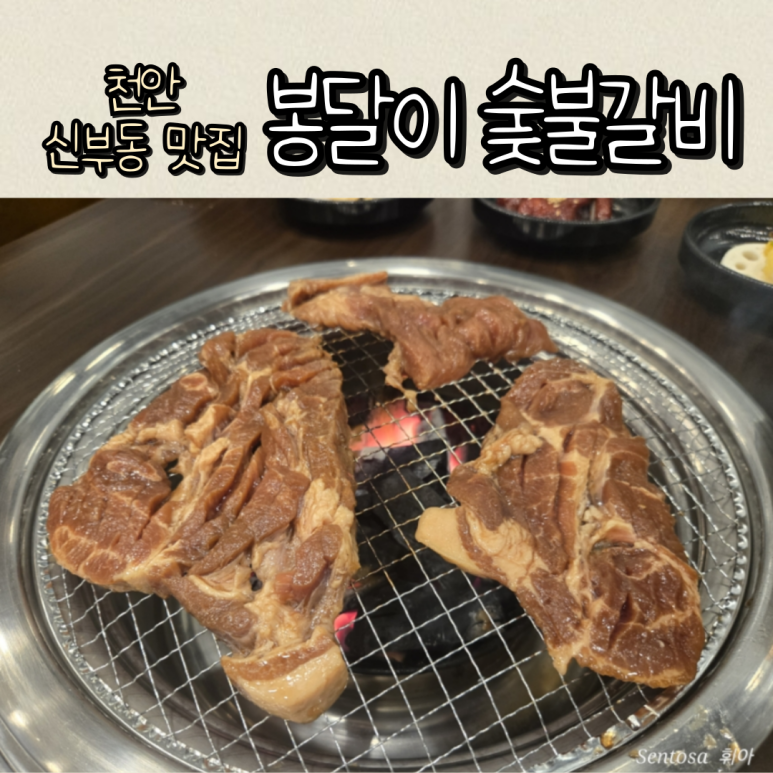 봉달이숯불갈비 이미지