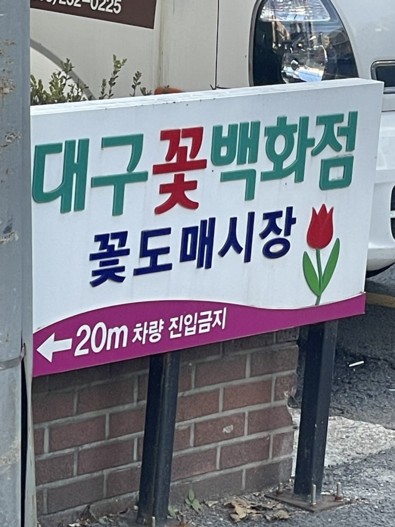오소플라워 이미지