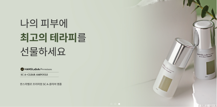 한스시스템 이미지