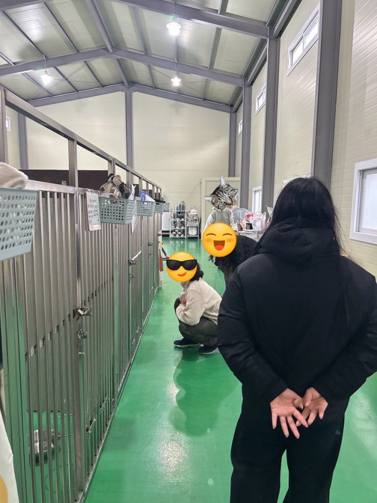 꽃길걷개 이미지