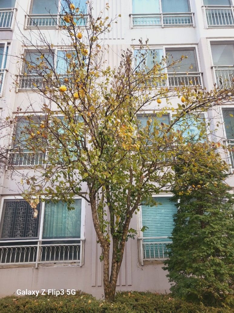 끌림광고디자인 이미지