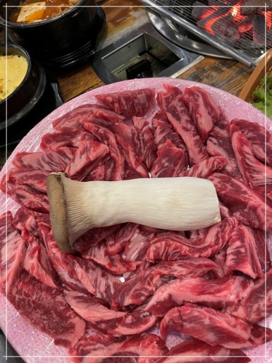 참토우 이미지