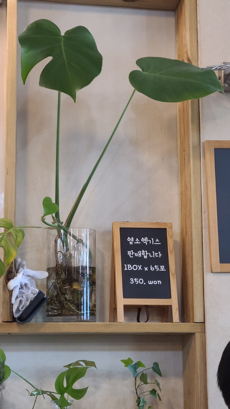 늘봄레스토랑 이미지