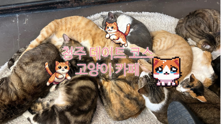 애니멀공화국 이미지