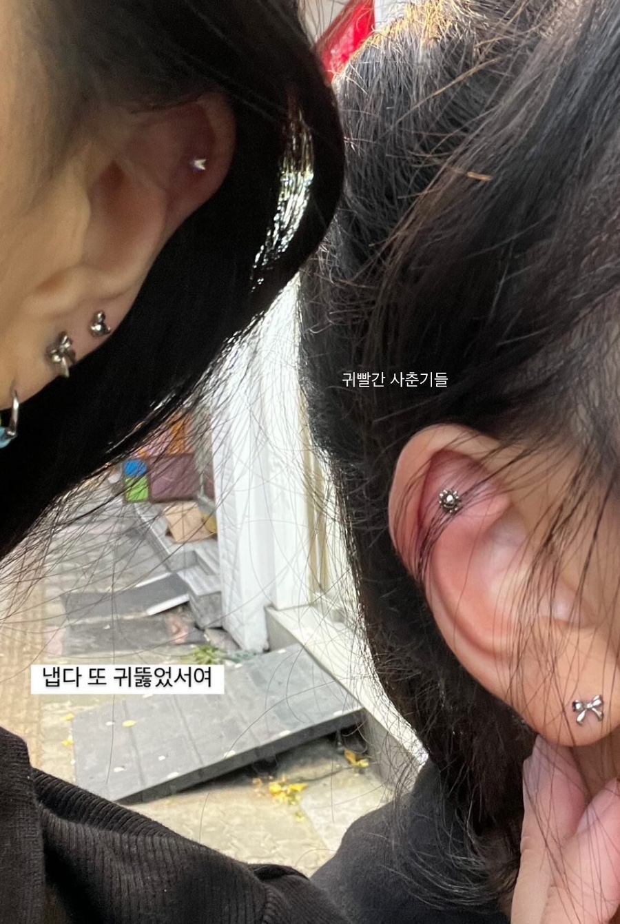 피넥트 이미지