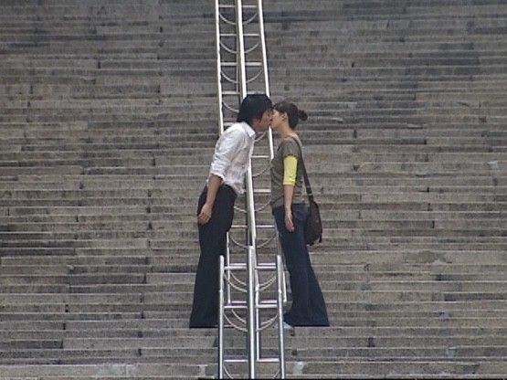왕거미 이미지