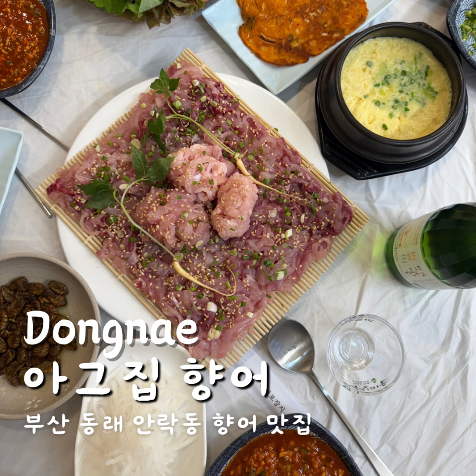 인생향어맛집 이미지