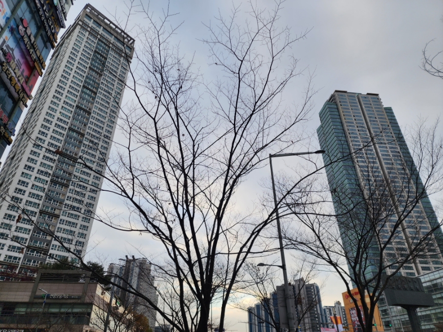 청라베스트365의원 이미지