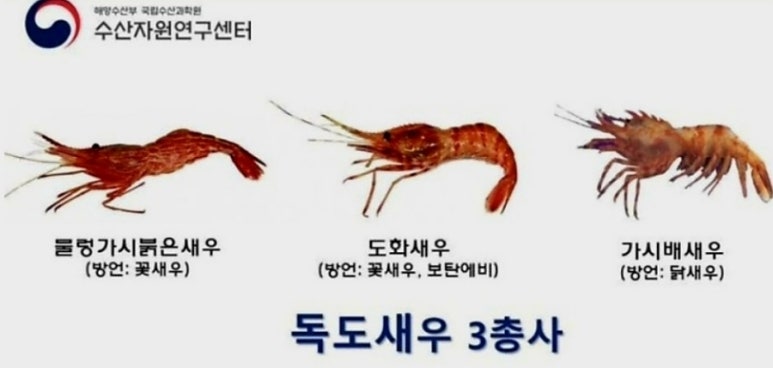 명수산 이미지