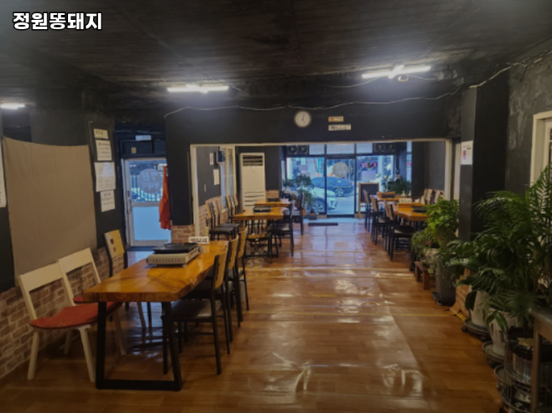 정원똥돼지 이미지