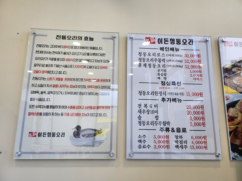이든청둥오리 이미지