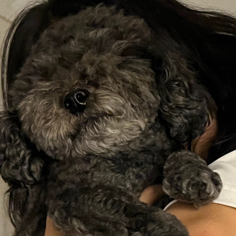 팔도실비집천내점 이미지