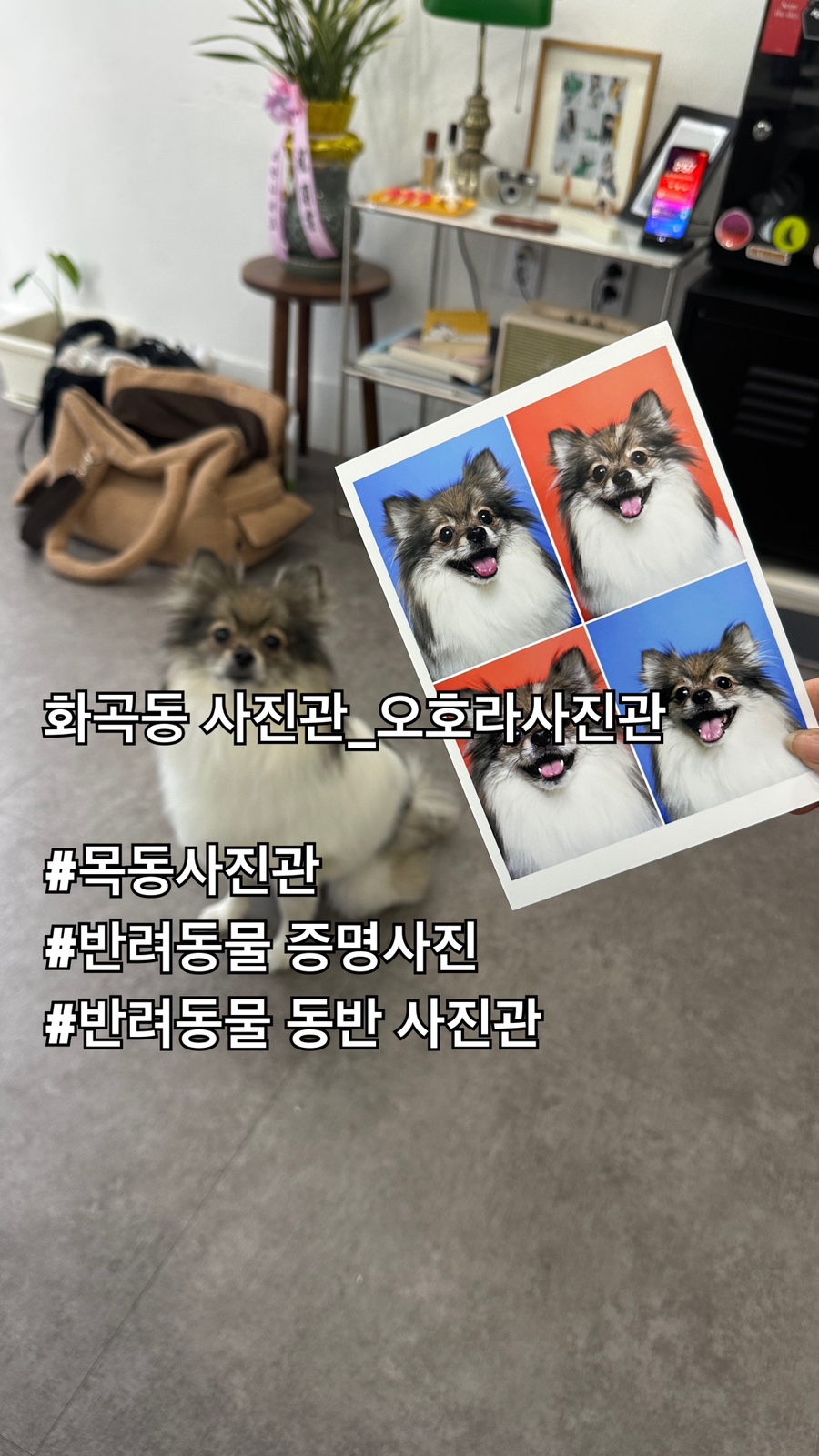 오호라사진관 이미지