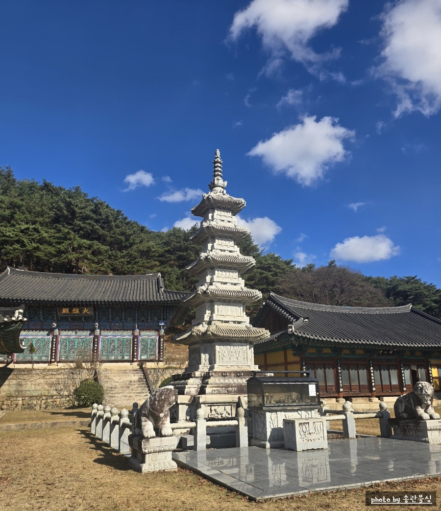 선심당 이미지