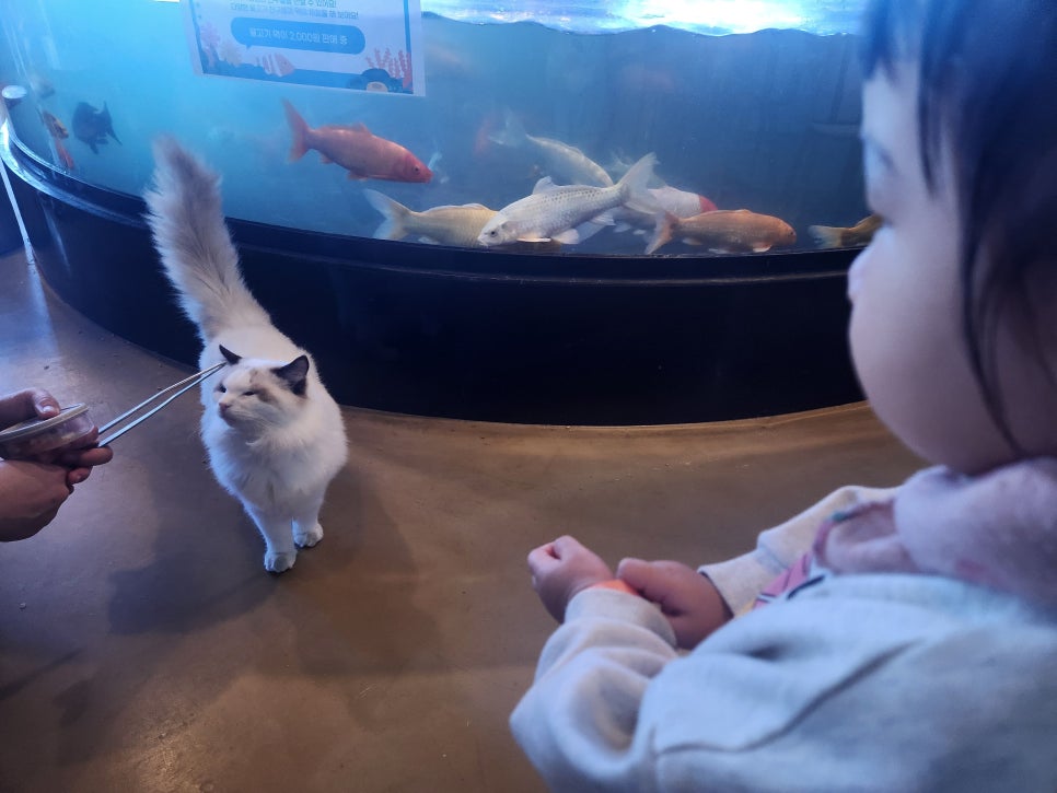 에이인원 이미지