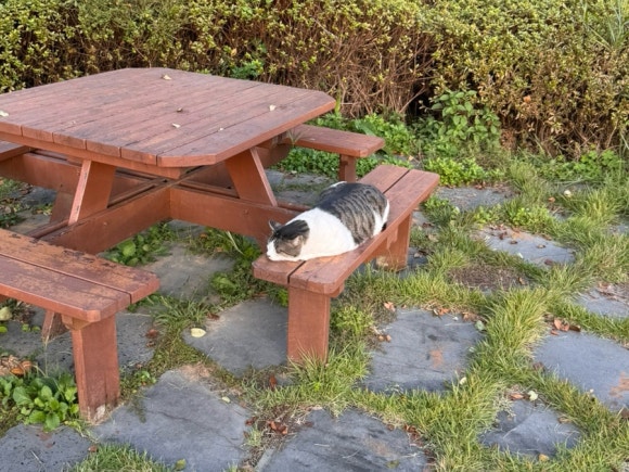 병천수산 이미지