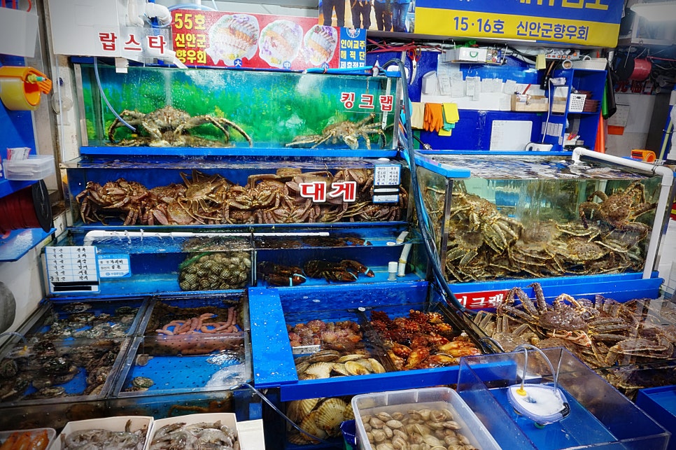 부산일번지 이미지