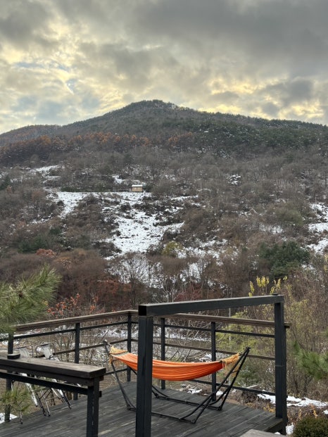 단양마중 이미지