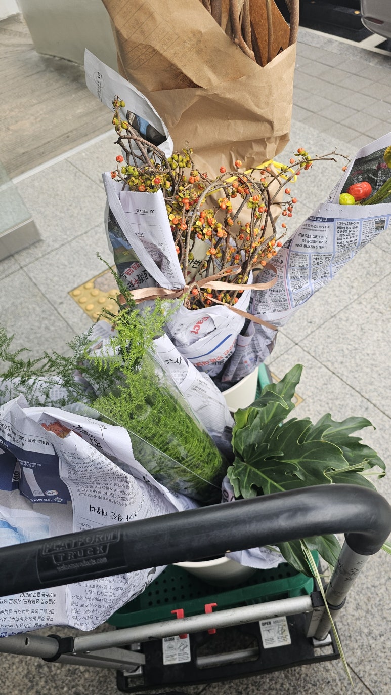덕원꽃꽃이학원 이미지