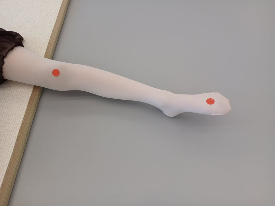 프리마발레학원 이미지