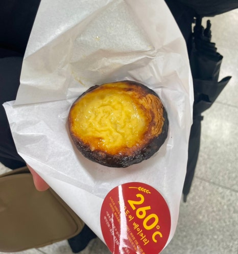 260도씨 이미지