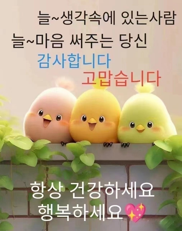 꽃피는하루 이미지