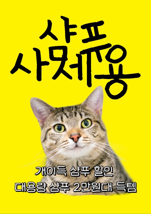 살롱;동백 이미지
