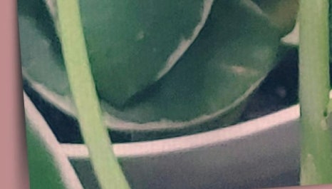 더드림치과의원 이미지