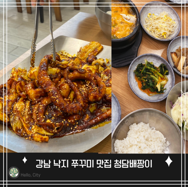청담배짱이 이미지