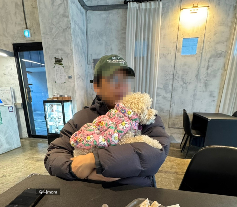 이레이스 이미지