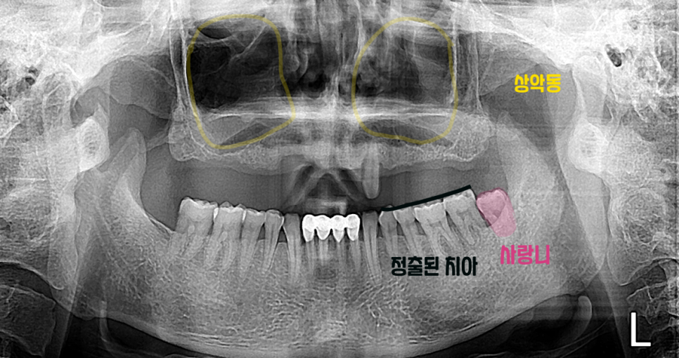 범어도담치과의원 이미지