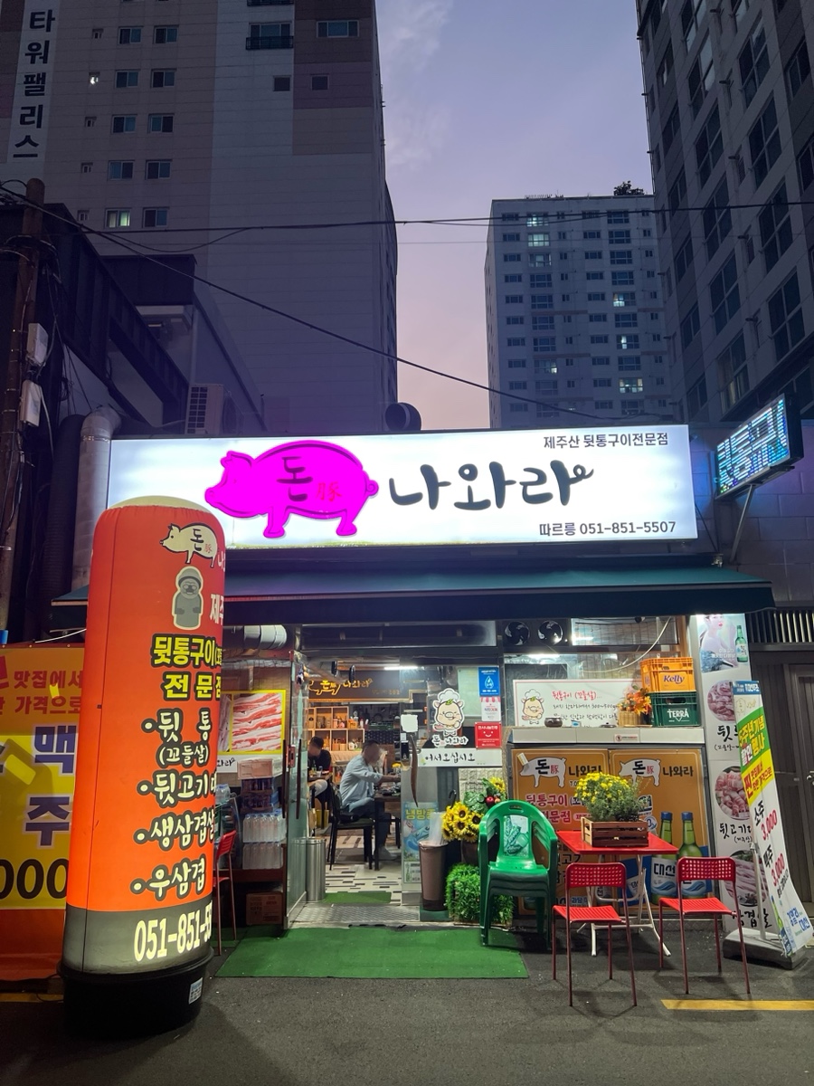 돈나와라 이미지