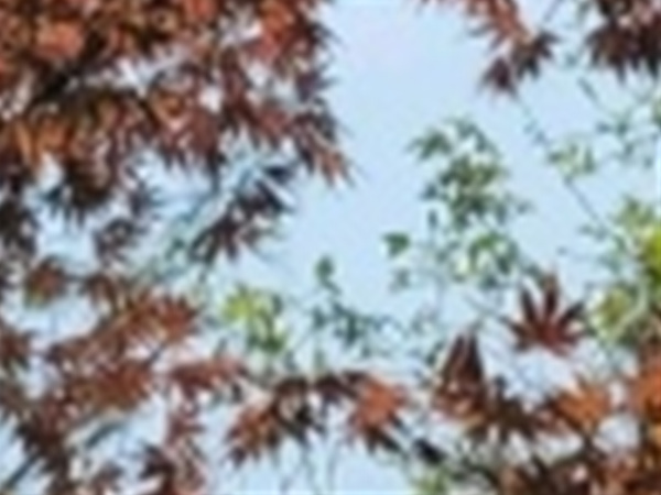 와인치과의원 이미지