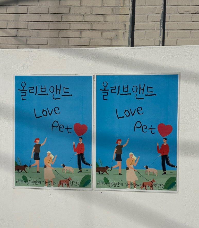 올리브앤드 이미지