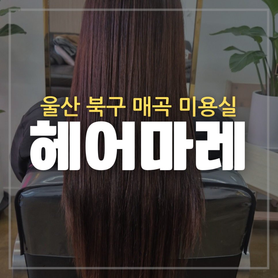 헤어마레 이미지