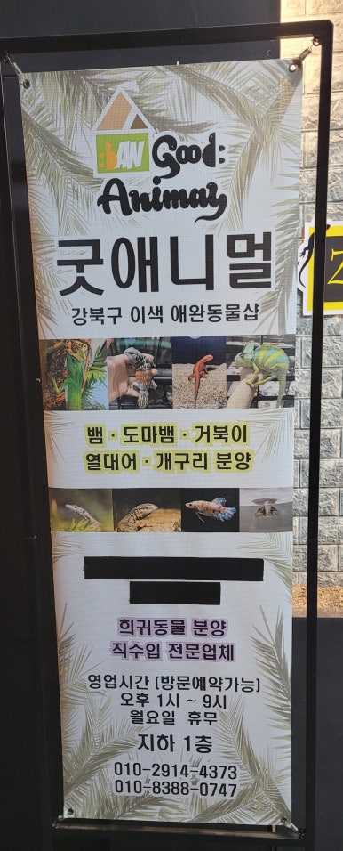 쥬니버스 이미지