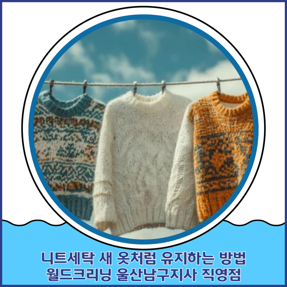 월드크리닝울산 이미지