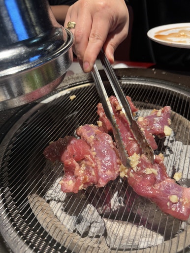 파란갈매기 이미지