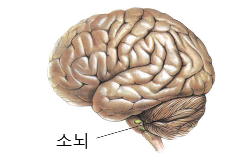 뉴힐링라이프재활운동센터 이미지