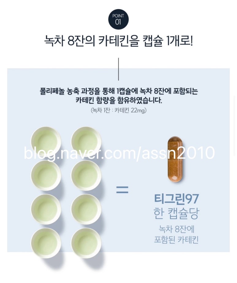 티그린 이미지