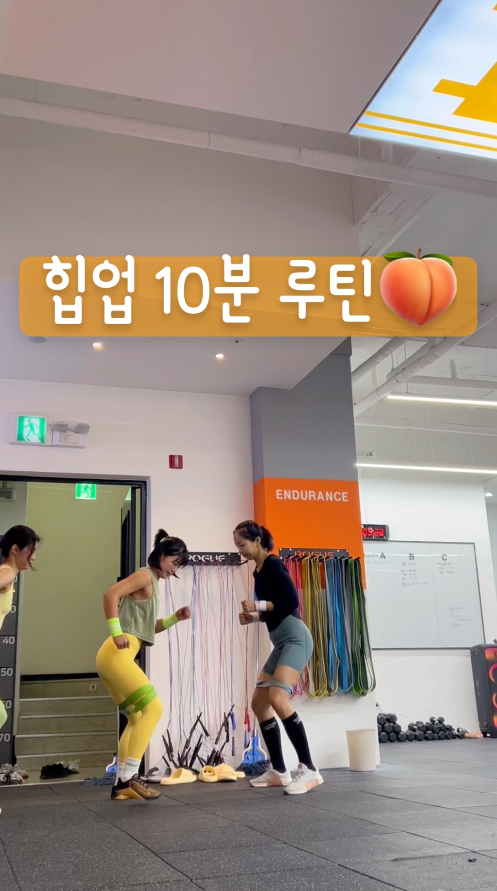 크로스핏엠비션 이미지