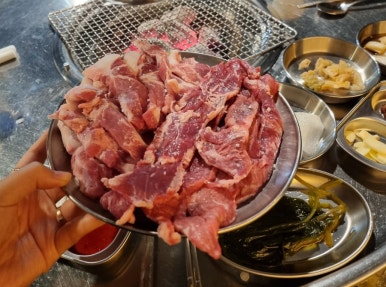 청춘갈매기 이미지