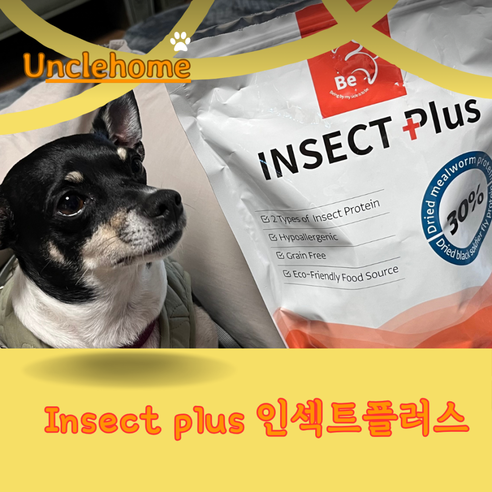 엉클플러스 이미지